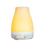 6000 Electronic Humidifier Aromatherapy